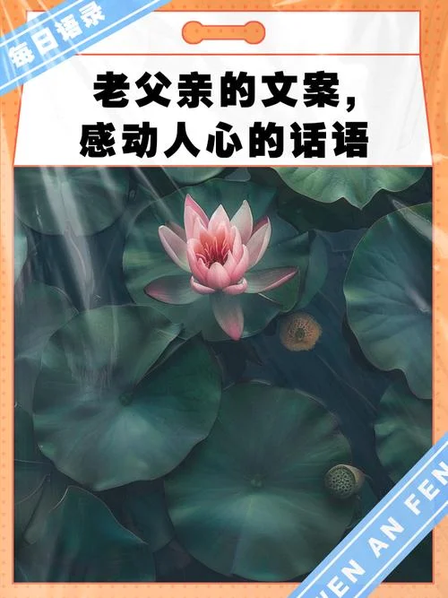 打动人心父亲的文案_1
