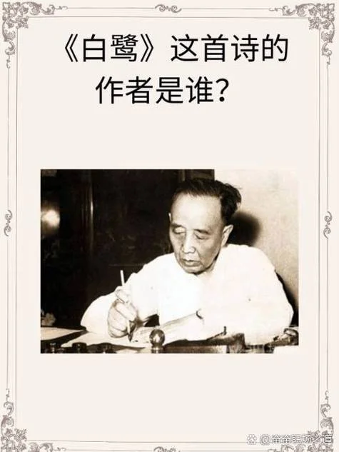 白鹭作者简介_1