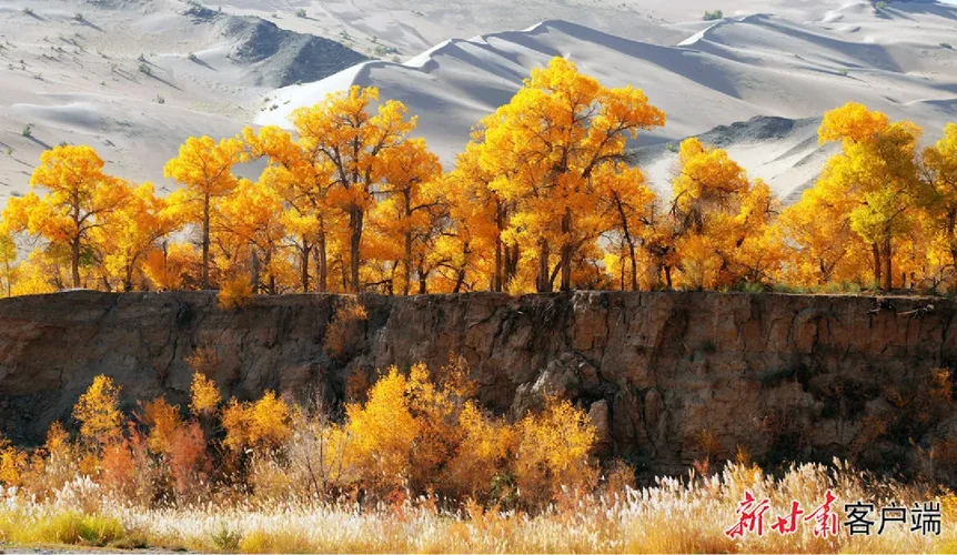 阿克塞旅游必去景点_2