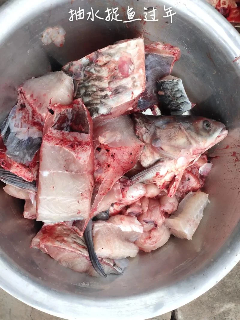梦见在水里抓到活鱼吃-梦见水中捕鱼食用