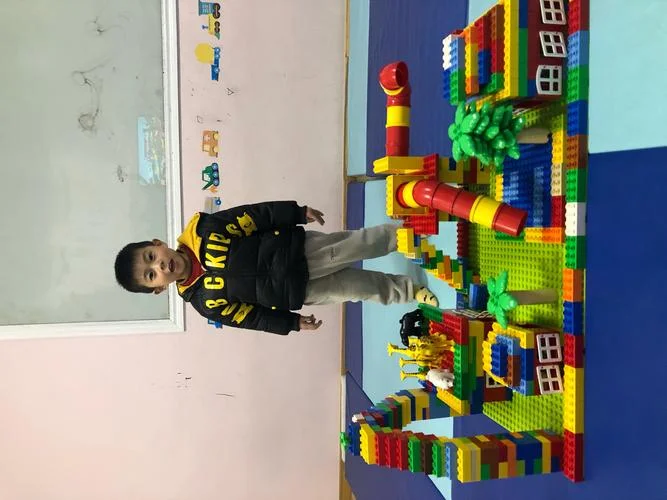 乐高管道系列叫什么名字-乐高管道系列名称