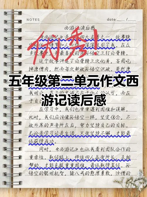 读名著有感作文_2