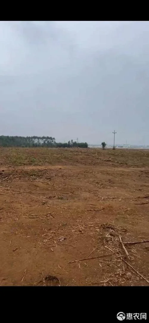 地皮多少钱一亩_1
