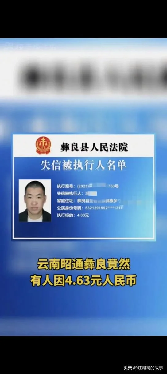 什么叫历史被执行人_2