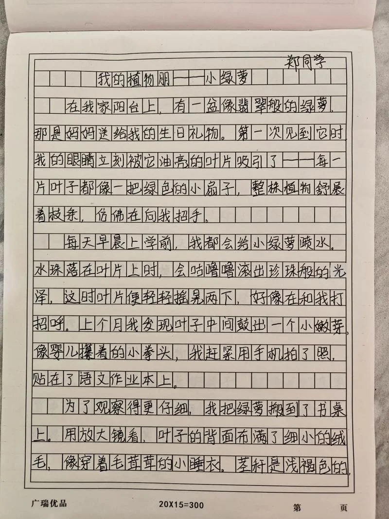 绿作文怎么写_1