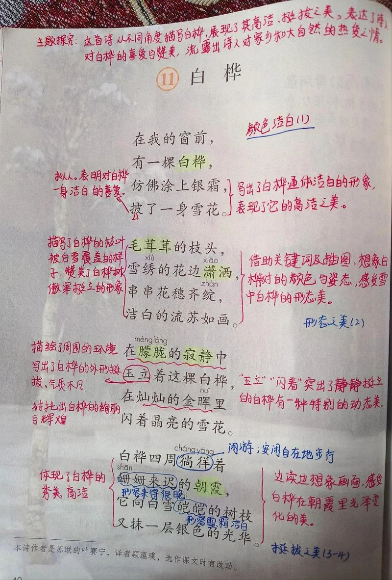 白桦的作者是谁视频_2