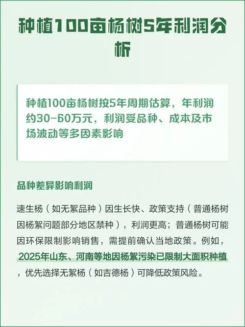 一亩地能种多少棵杨树_2