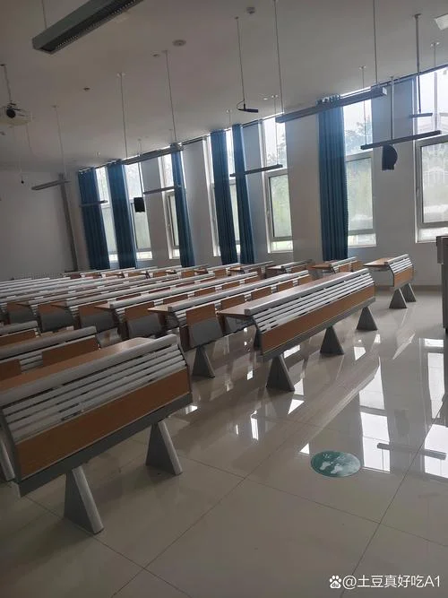 职校可以学什么_1