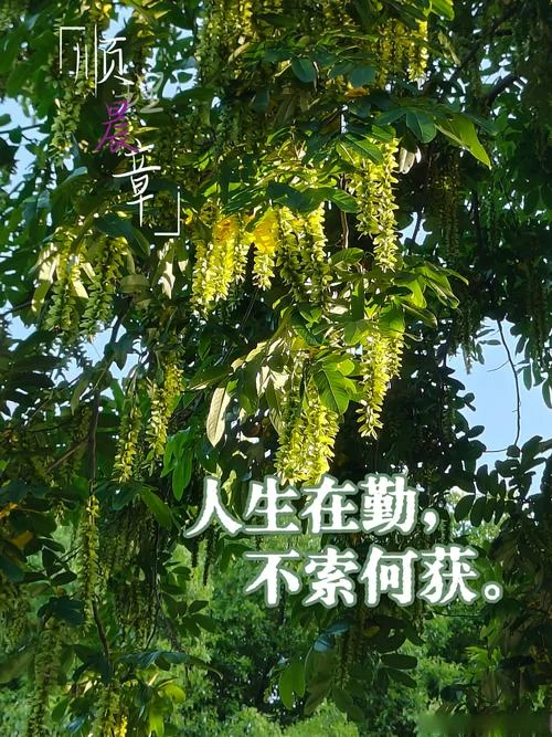 人生在勤下一句_1