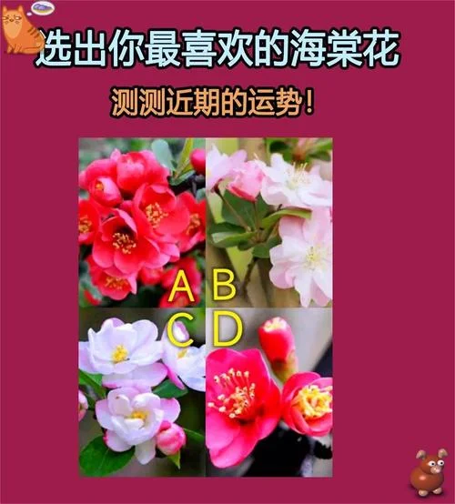 测试近期事业运势如何-测试事业近期运势