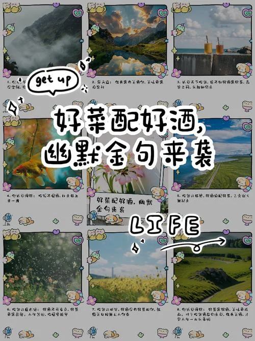好酒配好菜下一句_1