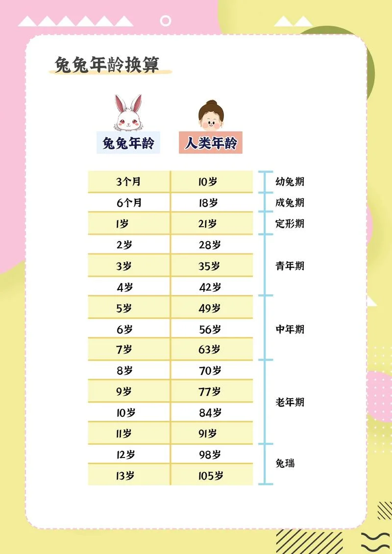 几月出生的兔宝宝好-兔宝宝好，几月出生