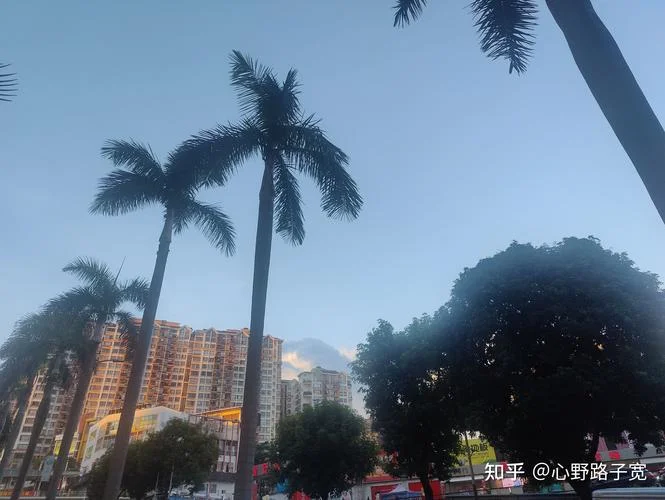 心野路子宽出自哪里_2