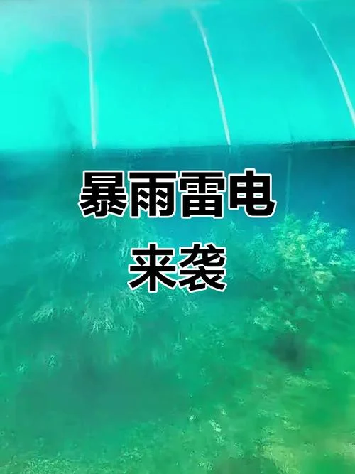梦到雷电交加大雨滂沱-梦惊雷雨