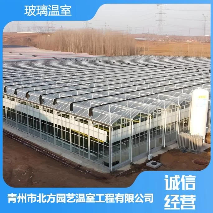 联栋大棚造价多少一亩_2