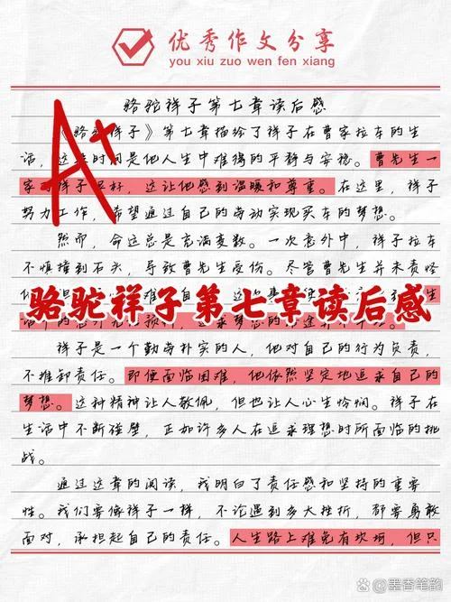 骆驼祥子600字左右读后感_2