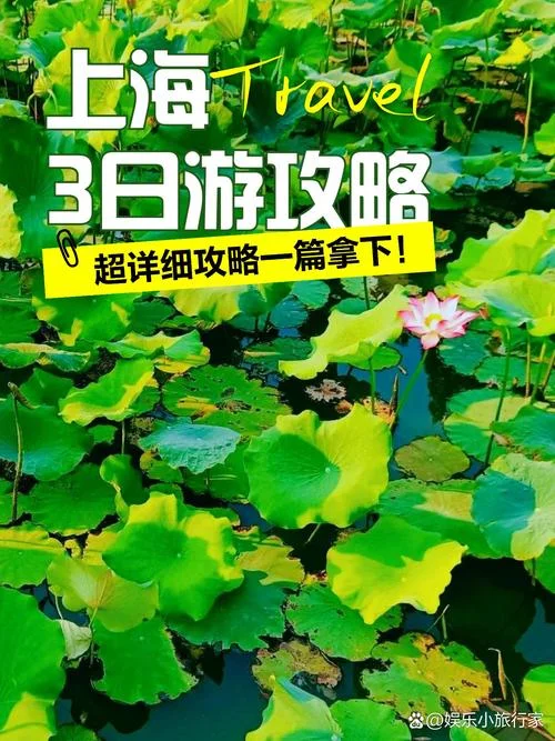 上海新乐旅游三日游399_1
