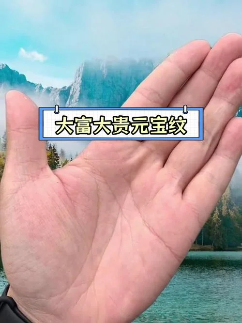 男人穿钱纹手相图片_1