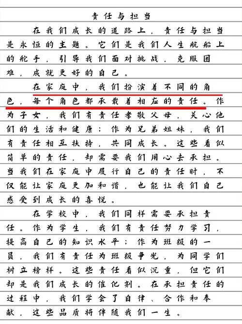 担当和责任的感悟-责任担当感悟