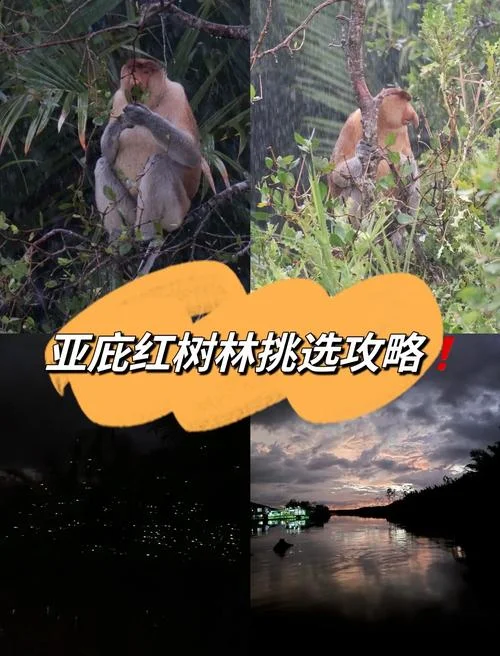 马来西亚亚庇历史_2