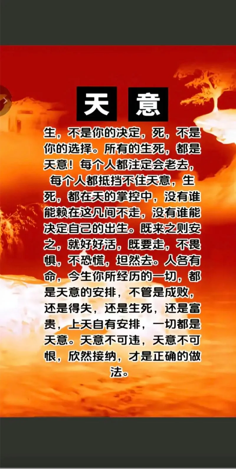 命运多舛出处_2