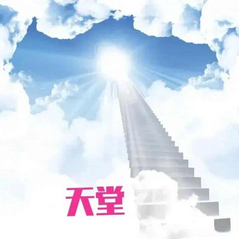 上有天堂的下一句是什么_1