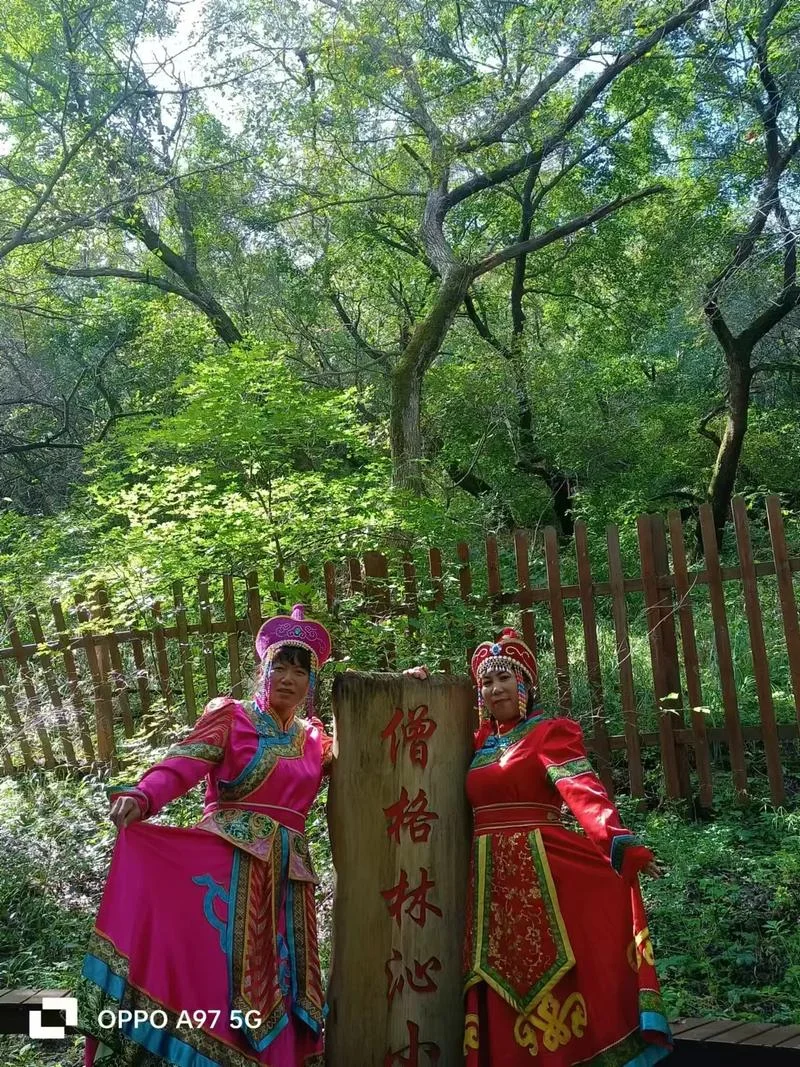 大青沟风景区旅游攻略-大青沟游玩指南