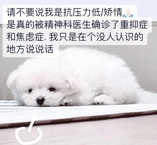 在美国留学生抑郁_1