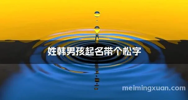 男孩姓韩叫什么名字好_2