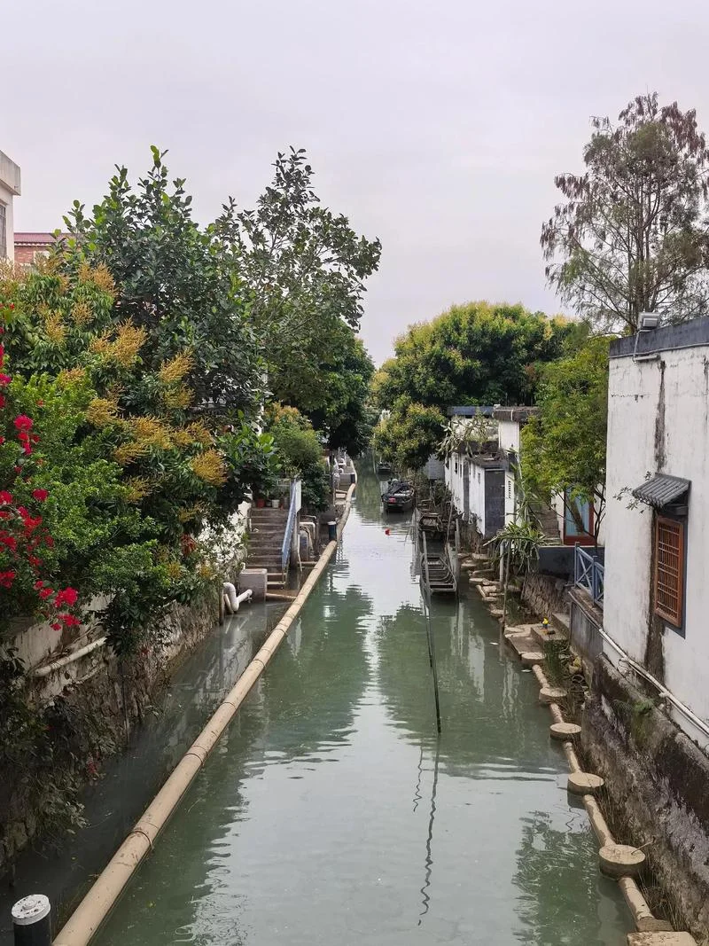 新会石板沙旅游攻略-新会石板沙游攻略