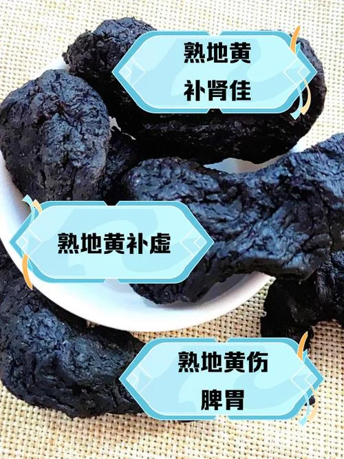 熟地黄是治什么病的药_1