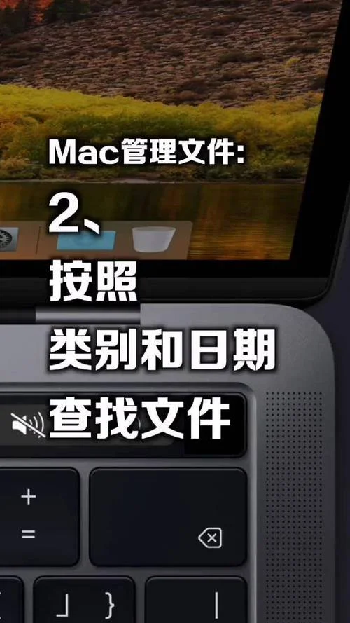电脑的mac在哪里查_2