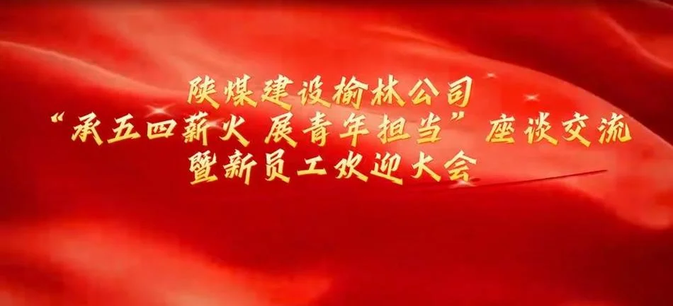 榆林集团公司成立条件_2