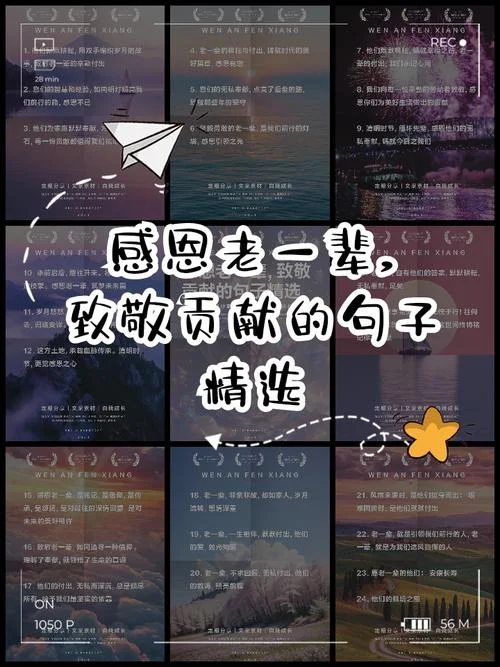 感恩的素材和感悟_1