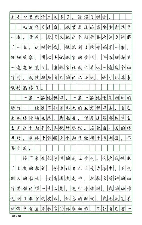 军训感悟30字_2