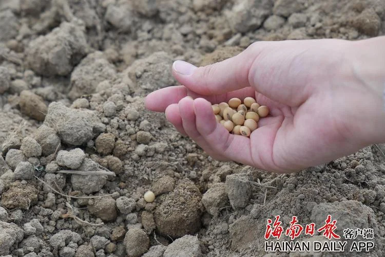 什么是太空种子_2