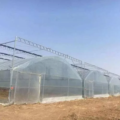 连体大棚多少一平方_2