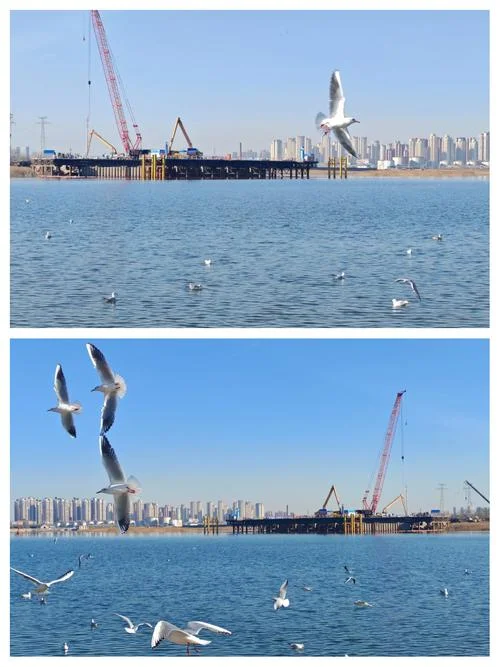 塘沽码头旅游景点_2