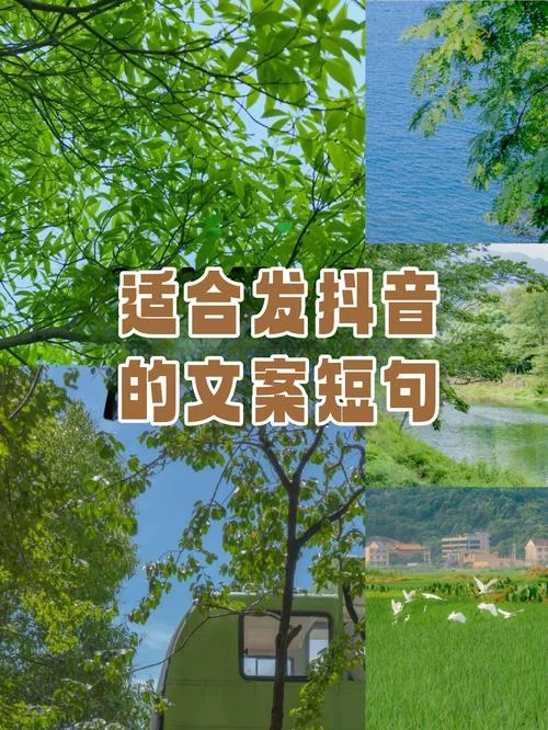抖音有趣文案短句_1