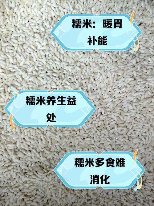糯米是什么意思_2
