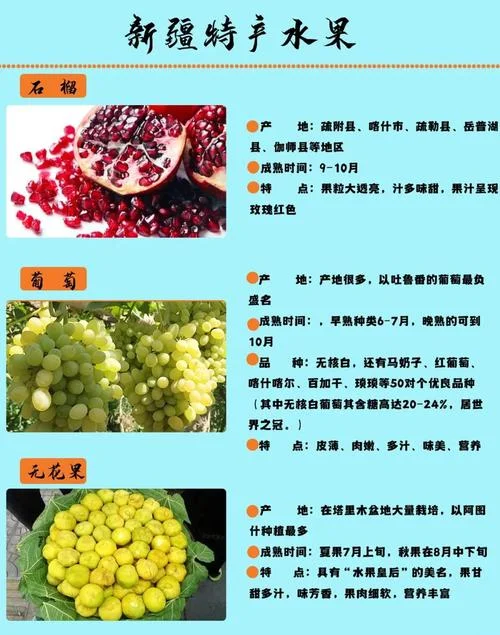 沙脆红桃几月成熟_2