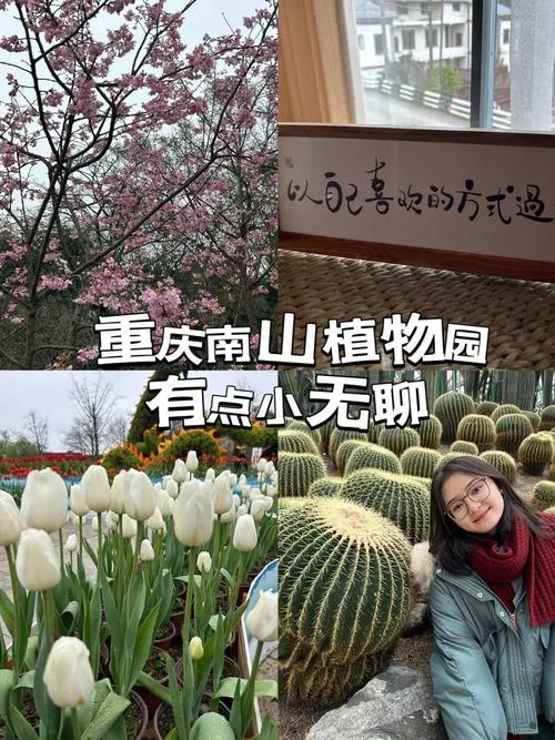 南山植物园景点攻略-南山植物园游玩指南