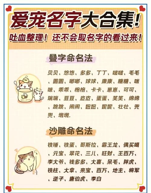 男狗宝宝起名大全英文-男宝起名英文大全