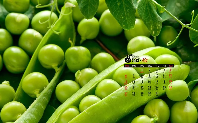豌豆荚怎么找历史版本_2