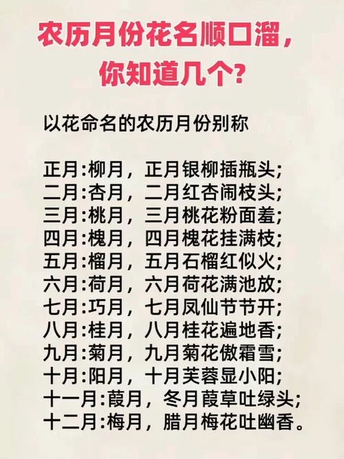 月份起名_1