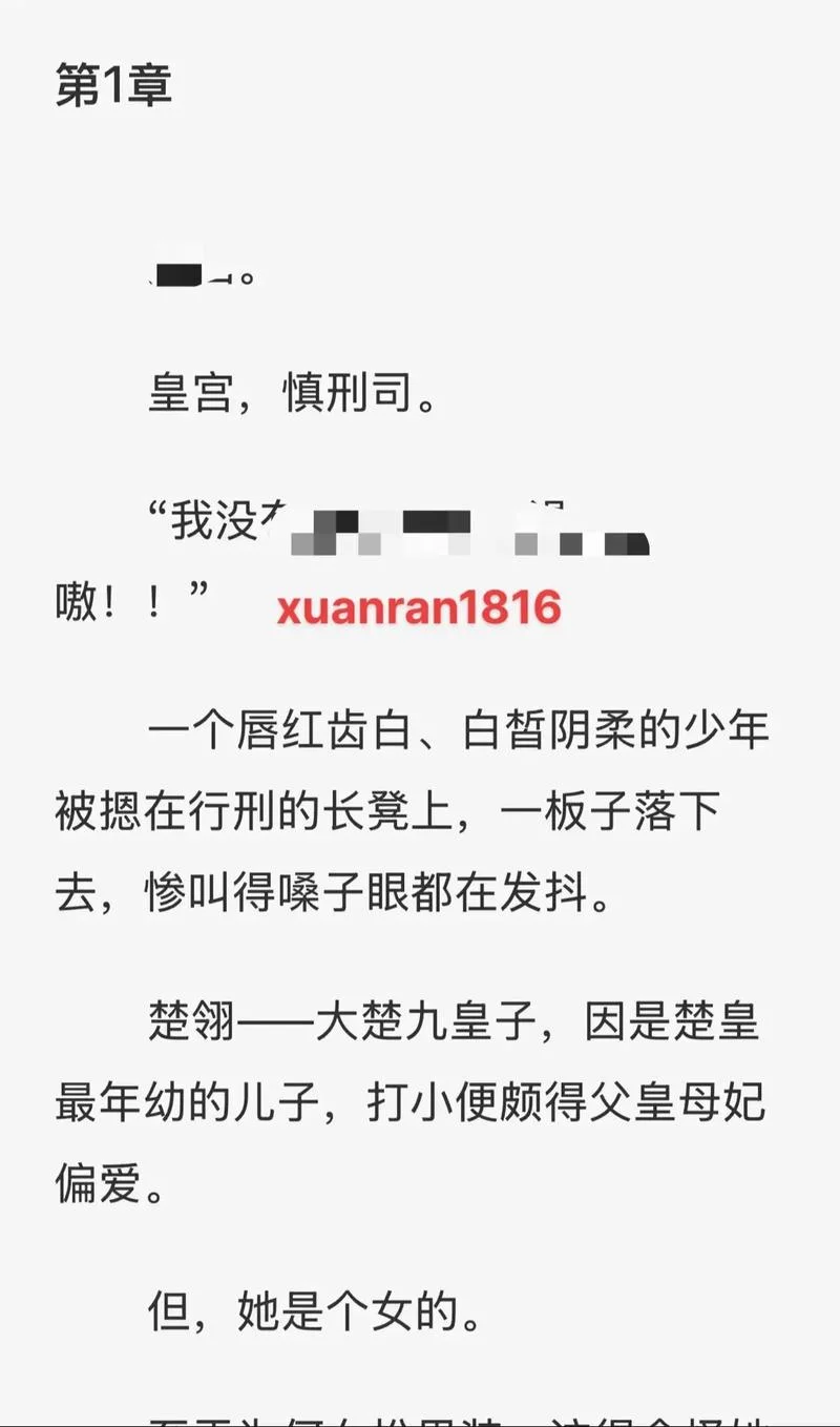 皇叔小说简介-皇叔小说简介
