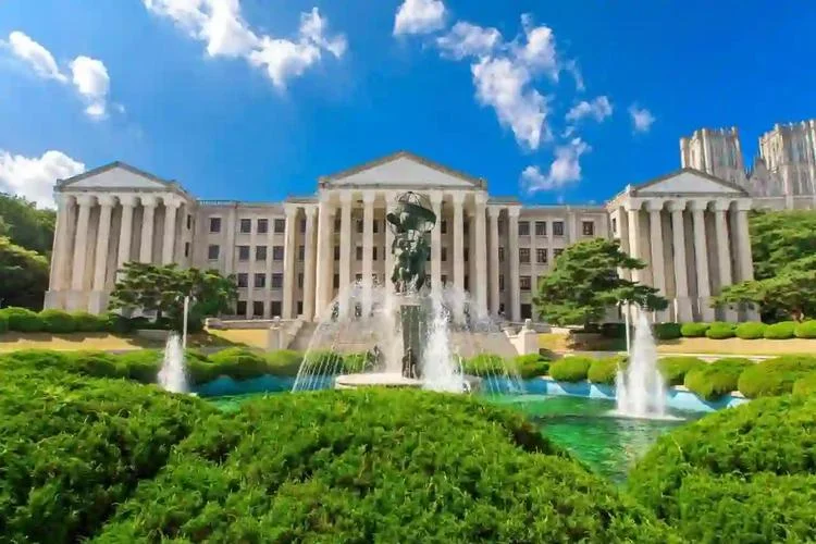 韩国的大学什么专业比较好_1