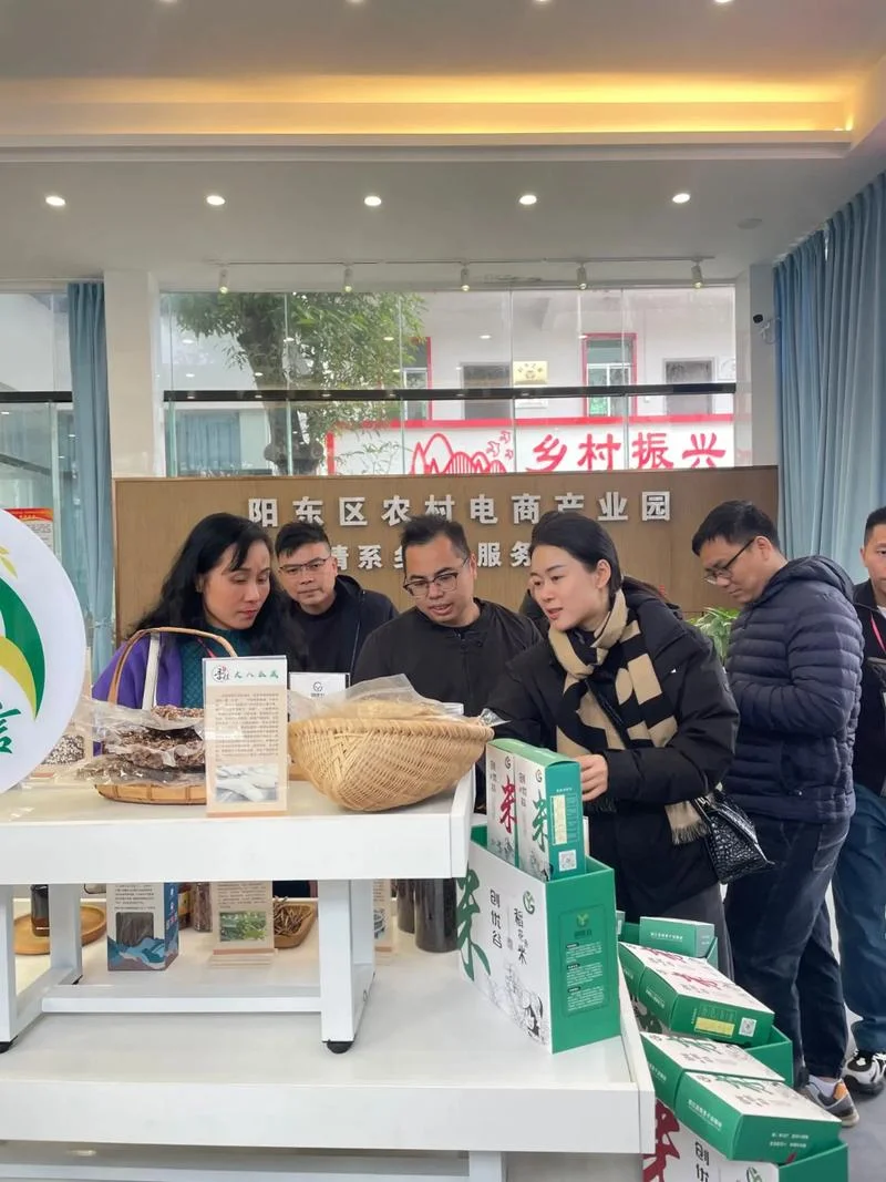 陇南电商扶贫怎么做-陇南电商扶贫策略