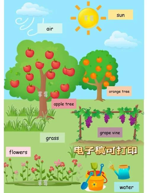 英语乐园用英语怎么写-英语乐园写作指南