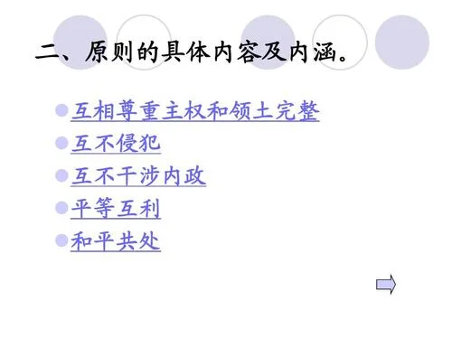和平共处五项原则感悟_1